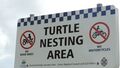 Знак предупреждающий о месте гнездования черепах