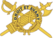 USA - Inspector General Branch Insignia.png