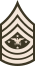 USA SEAC (Army greens).svg