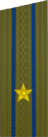 погоны 1969