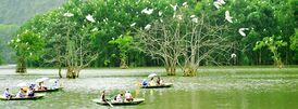 Vườn Chim Thung Nham.jpg