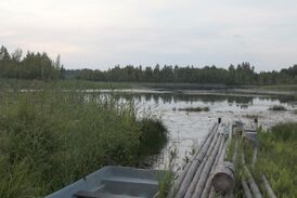 Озеро Велье. У деревни Заноги