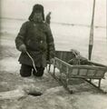 Русский рыбак у проруби на Чудском озере, 1.05.1924