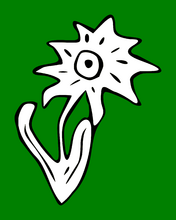 Эмблема дивизии — цветок эдельвейса на зелёном фоне