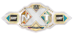Дизайн пояса чемпиона NXT среди женщин с боковыми пластинами по умолчанию (с 2022 года)