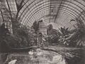 Йозеф Альберт. Мюнхен, резиденция короля Людвига II. Зимний сад. Около 1870.