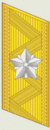 Wonsu - collar insignia.gif