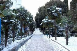 Yalta winter 3.jpeg