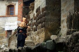 Сушка буйволиного навоза на стене дома в китайской провинции Юньнань