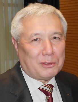 Yuriy Yekhanurov 2013.jpg