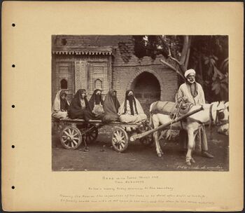 Zangaki. 0896. Arab with Three Wives and Two Servants.jpg